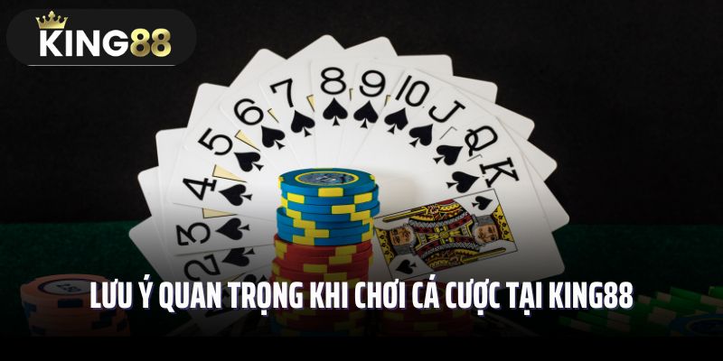 3 lưu ý quan trọng khi chơi cá cược tại King88