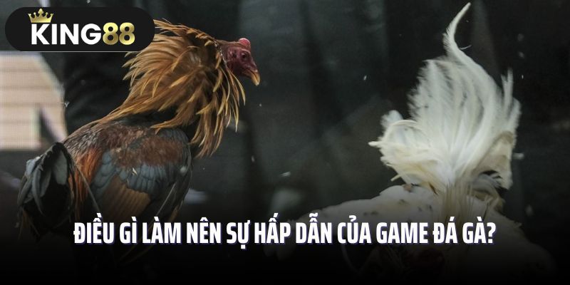 Điều gì làm nên sự hấp dẫn của game đá gà?