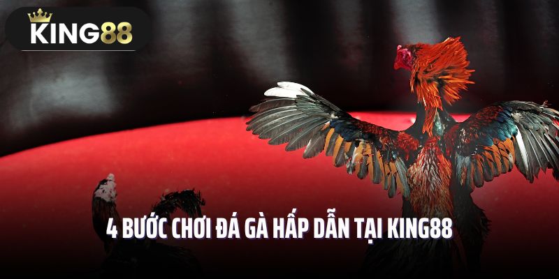 4 bước chơi đá gà hấp dẫn tại King88