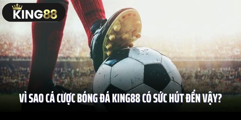 Vì sao cá cược bóng đá King88 có sức hút đến vậy?