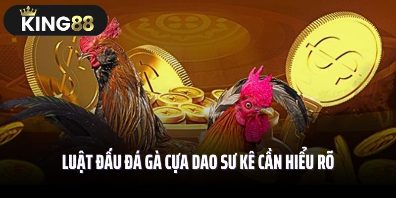 Luật đấu đá gà cựa dao sư kê cần hiểu rõ