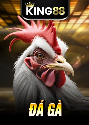 đá gà
